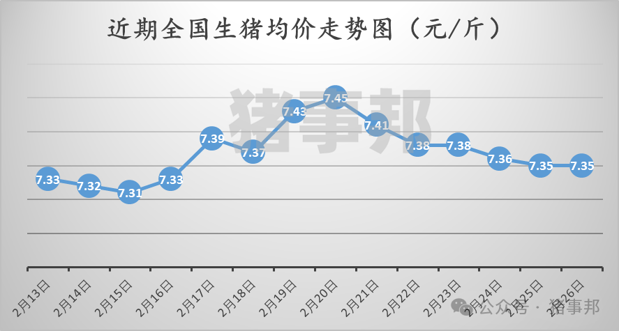 2月26日猪价汇总（继续博弈，均价微调！）